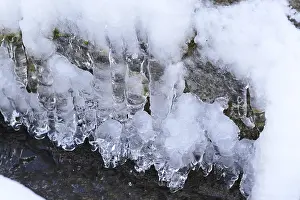 Ice Covered Germany Drucke: Wintertime, ice, Germany