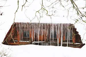 Ice Covered Germany Drucke: Wintertime, ice, Germany