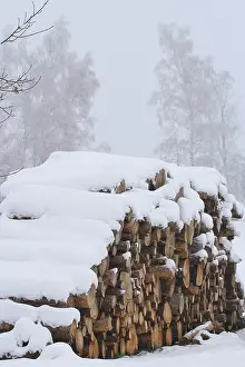 Winter Scene In Europe Drucke: Wintertime, timber, Germany