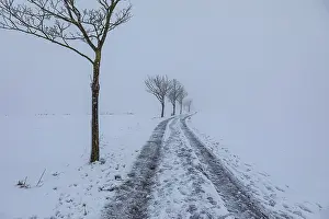 European Winter Landscapes Drucke: Wintry landscape at diffuse light in Germany