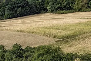 Climate Change Effects Drucke: Withered maize fields, fields, meadows