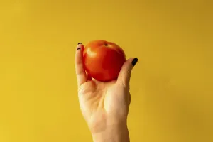 Fresh Tomato Drucke: Woman's hand with a vegetable on a yellow background