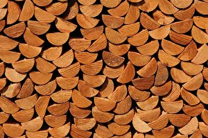 Wood Pile Drucke: Wood stack, impregnated pickets