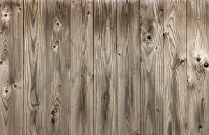 Wood Texture Drucke: Wood texture with natural patterns