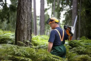 Travel Photography Woods Drucke: A woodcutter at work in the forest