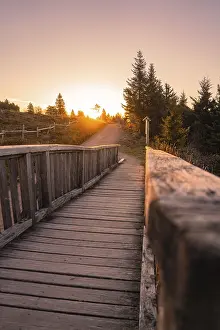 No People Landscape Shot Drucke: Wooden path in the forest during sunset
