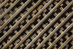 Wooden Background Texture Drucke: Wooden surface as a solid background texture