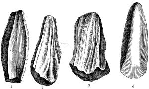 Stone Age Tools Drucke: Worked stone tools, stone core (1)