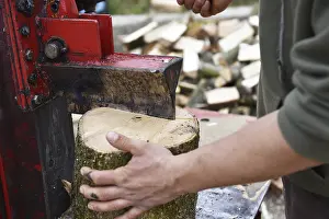 Firewood Production Drucke: Worker making firewood with a log splitter