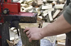 Firewood Production Drucke: Worker making firewood with a log splitter
