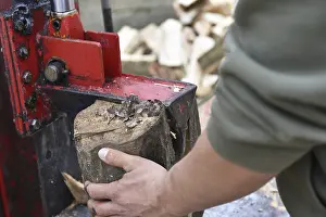 Firewood Production Drucke: Worker making firewood with a log splitter