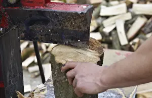 Firewood Production Drucke: Worker making firewood with a log splitter