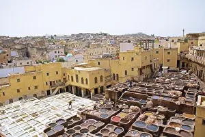 Drucke von Arbeiter, die Leder färben, Bad mit Farbe, Färberei, Tannerie Chouara Ledergroßhandel, Bezirk der Gerber und Färber, Fes el Bali, Fez Fez Drucke: Arbeiter, die Leder färben, Badewanne mit Farbe