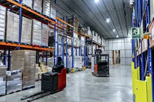Cold Storage Facility Drucke: Workers are managing inventory with forklifts