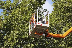 Green Space Management Drucke: Workers on the work platform pruning or maintaining trees