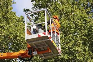 Municipal Park Maintenance Drucke: Workers on the work platform pruning or maintaining trees