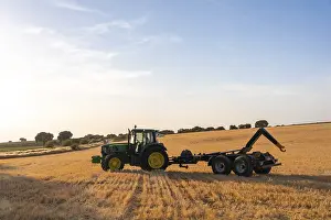 Agricultural Worker Drucke: Workers working on crops in a field