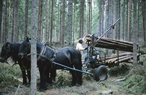 Scandinavian Countryside Landscape Drucke: Working in the forest in the 1970s