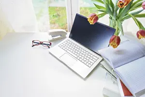 Spring Blooming Flowers Drucke: Workplace by a window with laptop