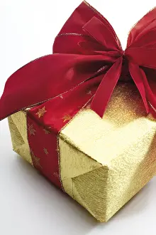 Wrapped Present Drucke: Wrapped gift or present