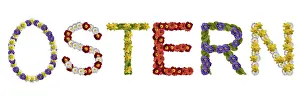 German Botany Inflorescence Drucke: Writing 'Oster' (Easter)