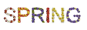 English Spring Flowers Drucke: Writing Spring, made from blossoms