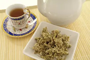 Alternative Medicine Tea Drucke: Yarrow tea