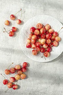 White Platter Drucke: Yellow cherries on a white platter