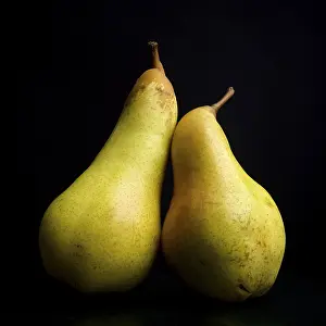 Yellow Pears Drucke: Two yellow pears on a black background