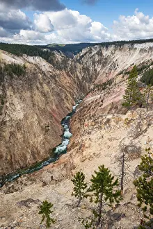 Uninhabited Mountain Stream Drucke: Yellowstone River flows through Gorge