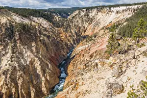 Mountain Torrent Waterfall Drucke: Yellowstone River flows through Gorge