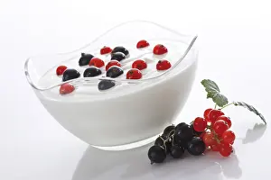 Black Currant Nutrition Drucke: Yogurt with currants