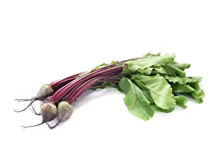 Leafy Green Vegetables Drucke: Young beetroot with leaves isolated over white background