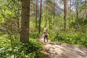 Leisure Activity Drucke: Young explorer joyfully running along a sun dappled forest path