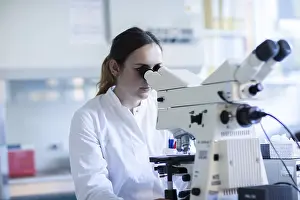 Female Laboratory Chemist Drucke: Young laboratory assistant with microscope and sample working in a laboratory with light microscope