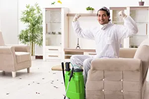 Professional Pest Control Drucke: Young professional contractor doing pest control at flat