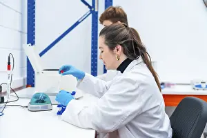 Laboratory Inspection Drucke: Young scientists working with samples sitting on a research laboratory