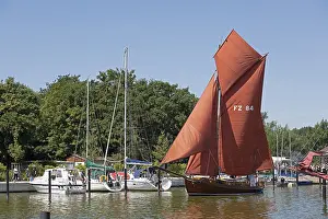 Empty Harbour In Germany Drucke: Zeesboot in the harbour, Wustrow