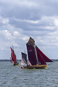 Zeesboot Regatta Drucke: Zeesboot Regatta, Wustrow, Saaler Bodden