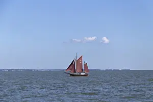 Zeesboot Regatta Drucke: Zeesboot Regatta, Wustrow, Saaler Bodden
