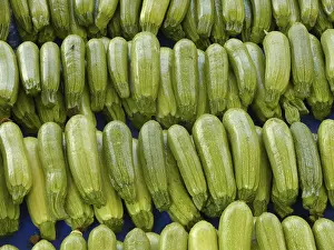 Vegetable Shop Drucke: Zucchini