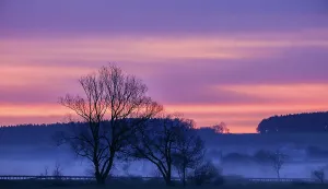 Himmel Drucke: Lilafarbener Himmel am Morgen - Print
