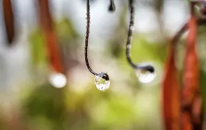 Wetter Drucke: Wassertropfen-Print