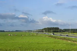 Autobahn A4 entlang Wiese.