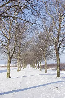 Dutch Winter Landscapes Drucke: Almere