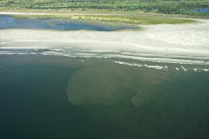 North Sea Coast Landscape Drucke: Ameland
