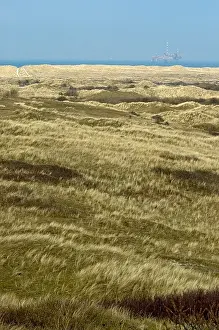 Dutch Coastline Drucke: Ameland
