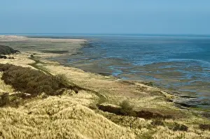Dutch Coast Drucke: Ameland