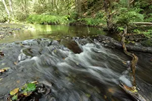 Belgian Landscape Photography Drucke: Ardennen