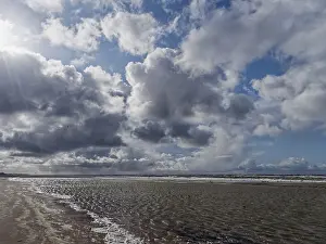 Dutch Beach Drucke: beach de Cocksdorp, strand de Cocksdorp